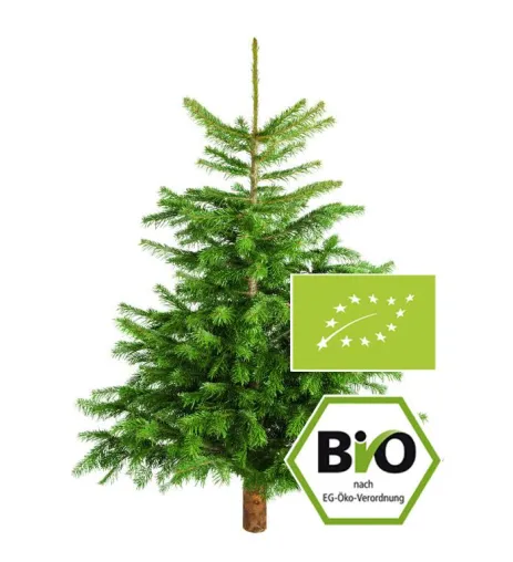 Bild: LengesHof: Weihnachtsbäume aus ökologischem Anbau