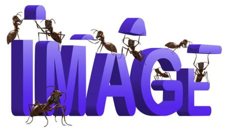 Recall-Text als Investition ins Praxisimage Bild: Recall-Text als Investition ins Praxisimage