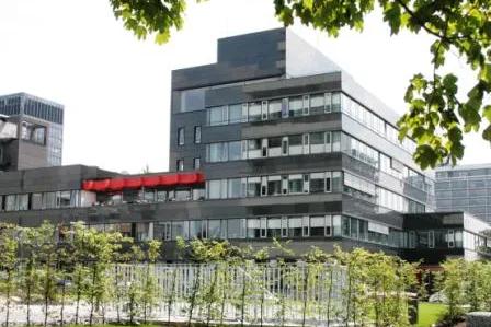 „Wir zählen keine Jahresringe“ Bild: „Wir zählen keine Jahresringe“