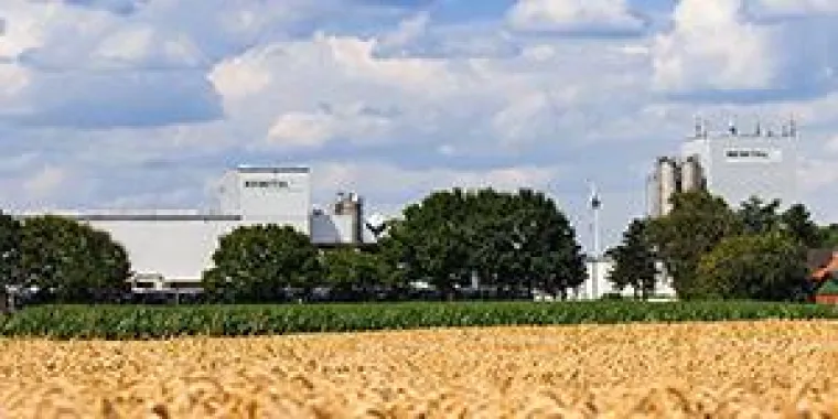 Bild: BEWITAL agri setzt auf nachhaltiges Palmöl