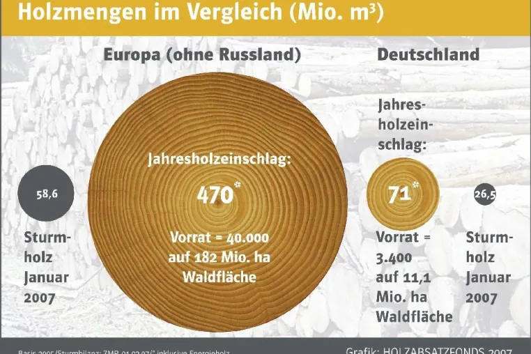 Bild: Orkan Kyrill - Fact Sheet und Hintergrundmaterial zu den Sturmfolgen und ihrer Beseitigung