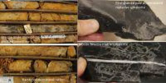 Pasinex: Neuentdeckung ändert Potenzial des Spur-Projekts radikal Bild: Pasinex: Neuentdeckung ändert Potenzial des Spur-Projekts radikal