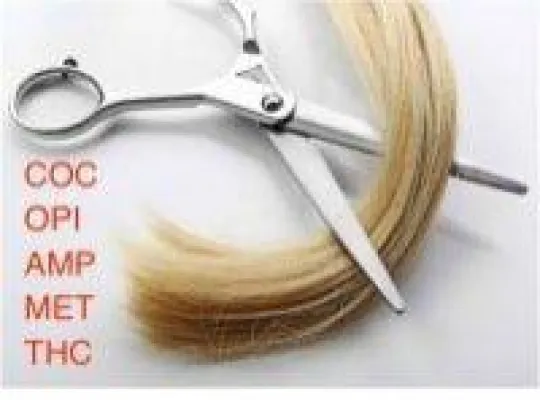 Bild: Haaranalyse auf Alkohol oder Drogen gibt Sicherheit für die MPU