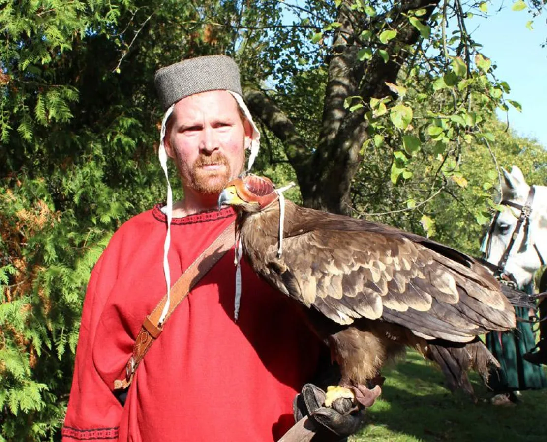 Nicht nur Falken, sondern auch andere Greifvögel zeigen auf der Gamburg ihre Flugkünste!
