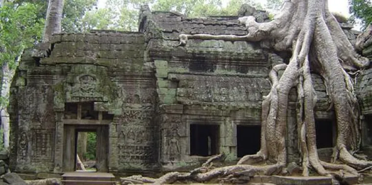 Bild: Abenteuer in Asien: Tischler Reisen mit neuen Aktiv-Angeboten
