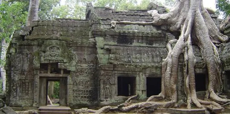 Bild: Abenteuer in Asien: Tischler Reisen mit neuen Aktiv-Angeboten