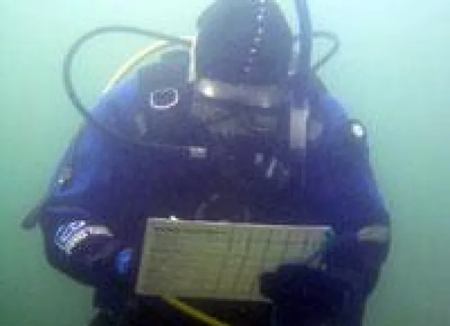 Bild: Arbeiten, wo andere Urlaub machen