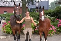 Westfalenchampionat als Sprungbrett zum Bundeschampionat? Bild: Westfalenchampionat als Sprungbrett zum Bundeschampionat?