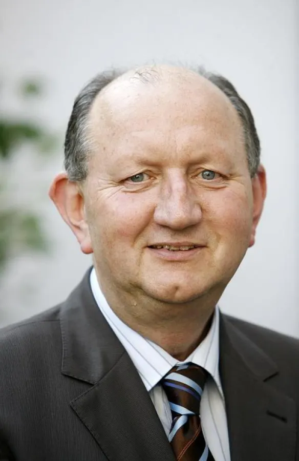 Helmut Plagemann, Unternehmensberater