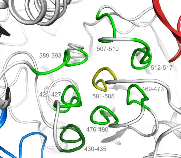Bild: Mikrobiologen identifizieren neue Proteinstruktur