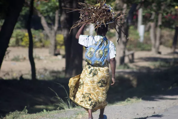 Bild: Heiße Dioden! Verboten billiges Kochen und Strom für die Armen weltweit?