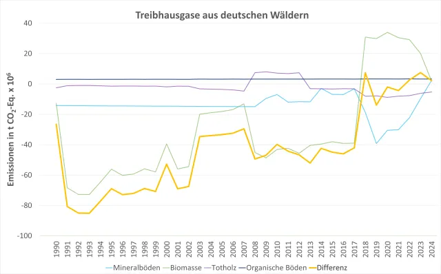 Bild: Der Boden ersetzt die Bäume zeitweise als Kohlenstoffsenke