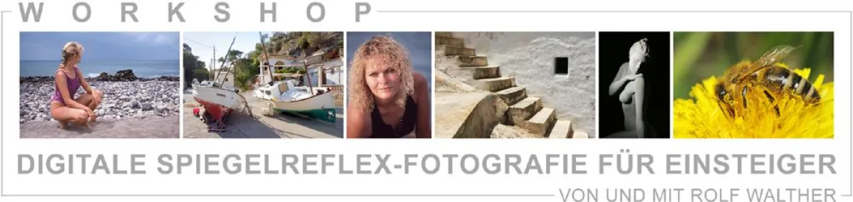 Digitale Spiegelreflex-Fotografie für Einsteiger