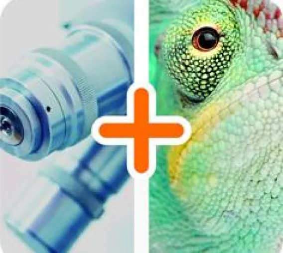 Sprungbrett für Innovationen: Der Bionik-Potenzial-Check Bild: Sprungbrett für Innovationen: Der Bionik-Potenzial-Check