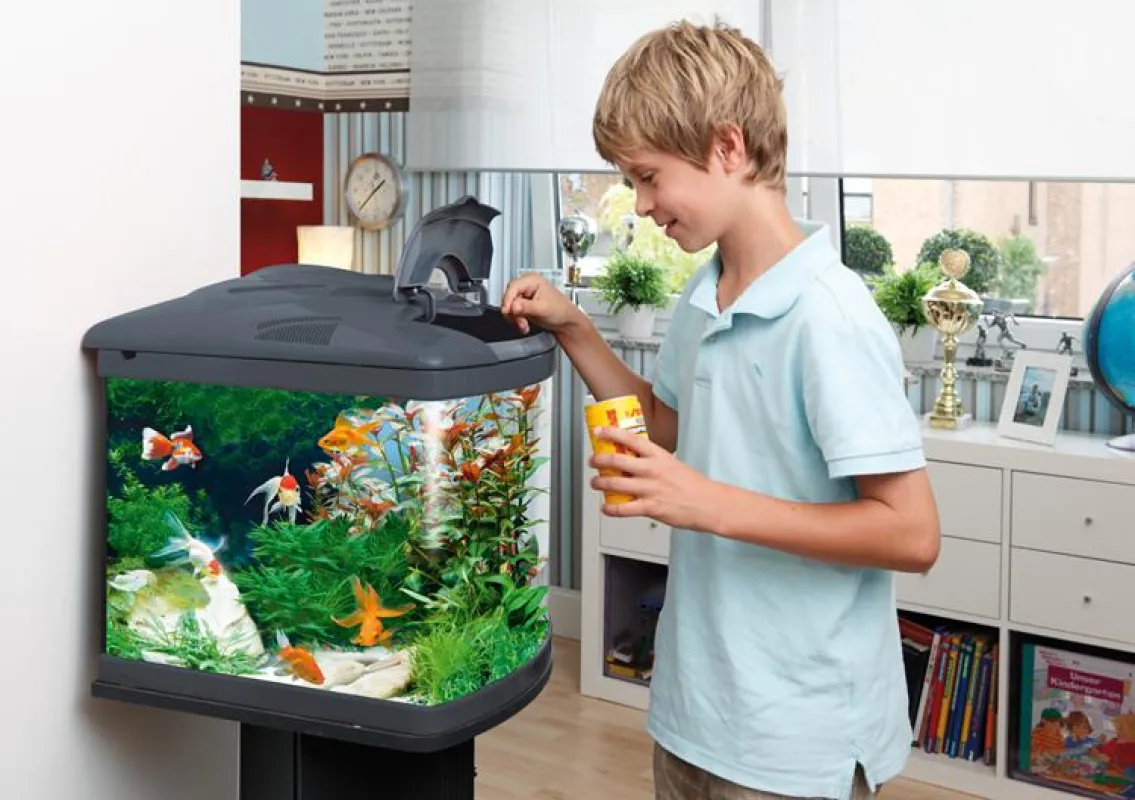 Das Komplettaquarium Biotop LED Cube 130 XXL von sera ist ideal für Kinder geeignet. Foto: sera