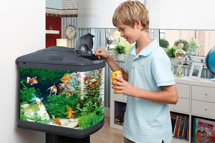 Bild: Für kleine Forscher und Natur-Entdecker
