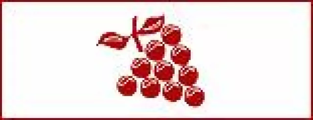 Bild: Weine-fuer-Firmen.de - die Preisoffensive für Entscheider mit Geschmack