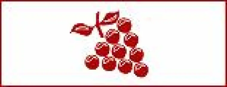 Bild: Weine-fuer-Firmen.de - die Preisoffensive für Entscheider mit Geschmack