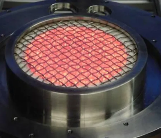 Bild: Strahlende Partnerschaft