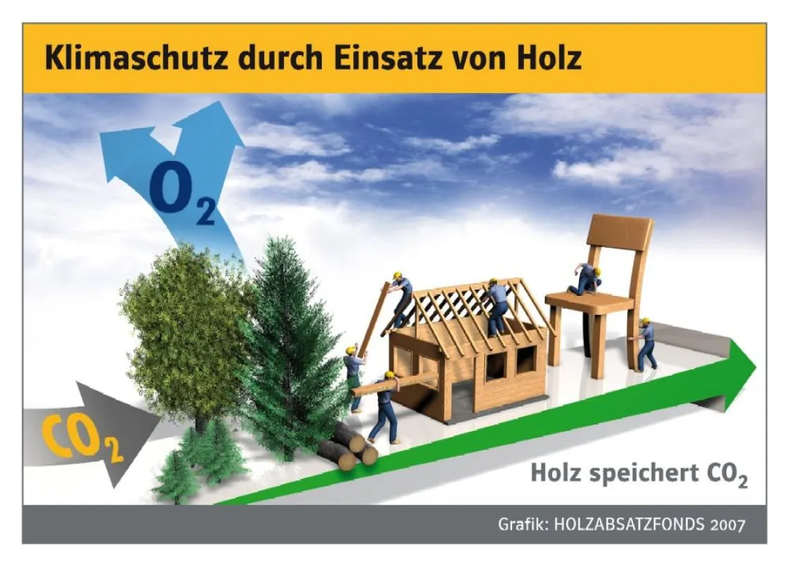 Insgesamt sind in Deutschland über eine Milliarde Tonnen Kohlenstoff (C) in Bäumen gespeichert. Das entspricht fast der vierfachen Menge an CO2! Die Speicherwirkung bleibt erhalten, wenn ihr Holz zu l