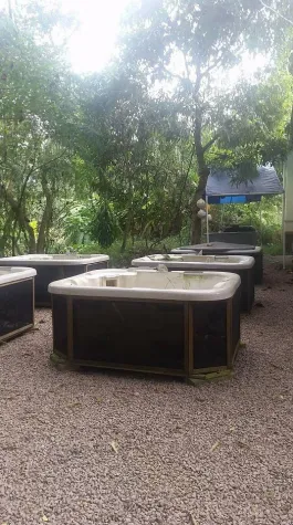 Bild: Im Banyan Tree Seychelles haben sogar Schildkröten einen eigenen Whirlpool