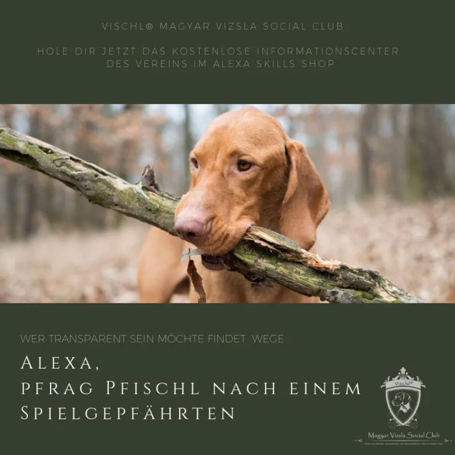 Foto: Vischl®	Magyar Vizsla Social Club