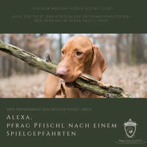 Bild: Innovation trifft auf Transparenz im Tierschutz