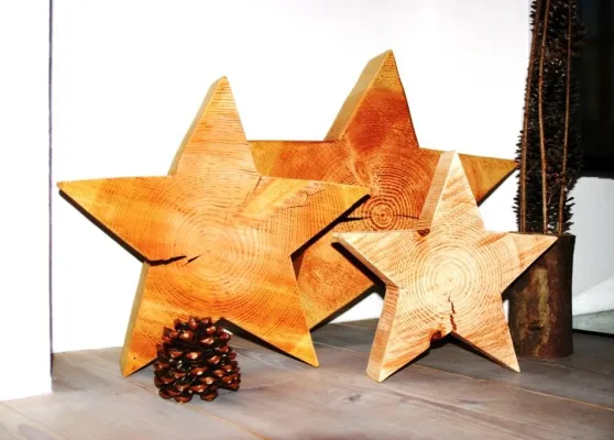 Bild: Einladung zum 3. Pur Natur Schausamstag "Sternzeit bei Pur Natur"