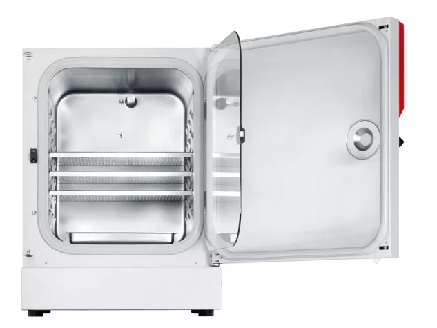 Junge Haut aus dem Labor Bild: Junge Haut aus dem Labor