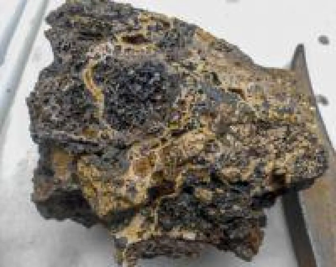 Quelle: Aurania Resources