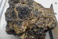 Gold bleibt - Währungen gehen Bild: Gold bleibt - Währungen gehen
