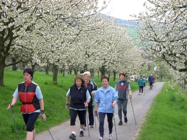 Bild: Frühlingserwachen im Märchenland - Osterfeuer und Blütenzauber in der GrimmHeimat NordHessen