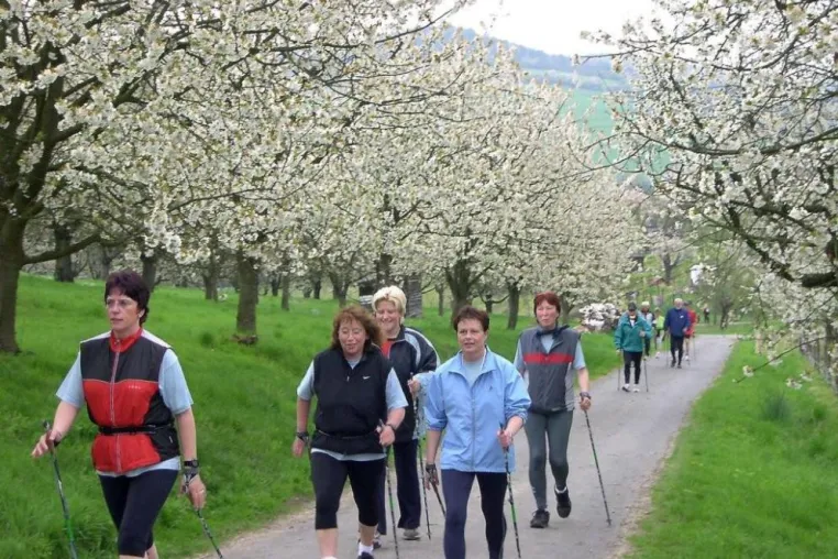 Frühlingserwachen im Märchenland - Osterfeuer und Blütenzauber in der GrimmHeimat NordHessen Bild: Frühlingserwachen im Märchenland - Osterfeuer und Blütenzauber in der GrimmHeimat NordHessen
