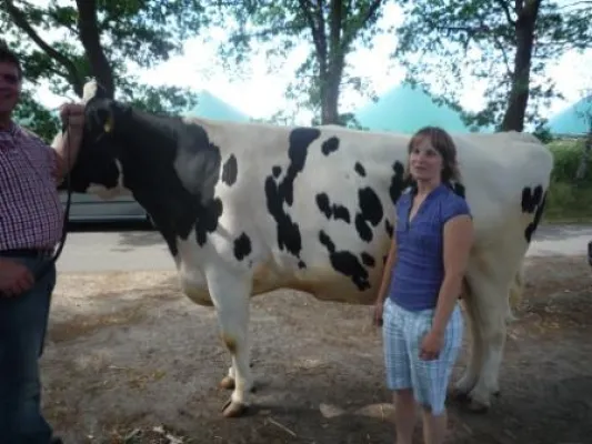 Bild: AVA- Rinderfachtagung zur Milchviehhaltung im Herbst und Winter