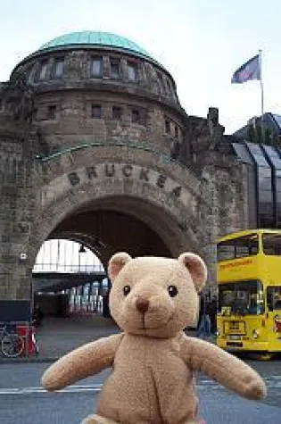 Bild: Teddy in Hamburg