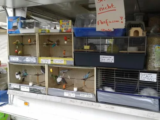 Bild: Arbeitskreis humaner Tierschutz e.V. fordert Ende des Tierverkaufs auf Duisburger Wochenmärkten