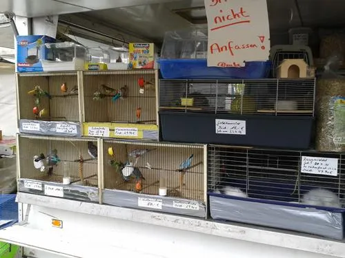 Arbeitskreis humaner Tierschutz e.V. fordert Ende des Tierverkaufs auf Duisburger Wochenmärkten Bild: Arbeitskreis humaner Tierschutz e.V. fordert Ende des Tierverkaufs auf Duisburger Wochenmärkten