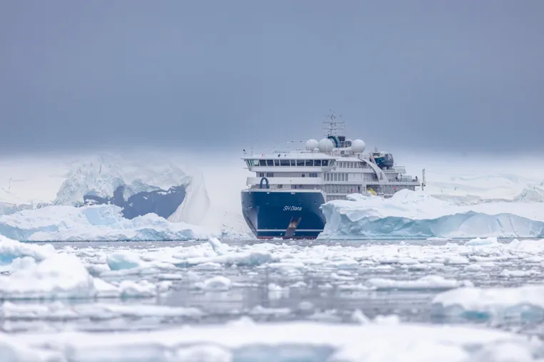 Bild: Expeditions-Kreuzfahrt: Neues Antarktis-Programm 2026/27 von Swan Hellenic