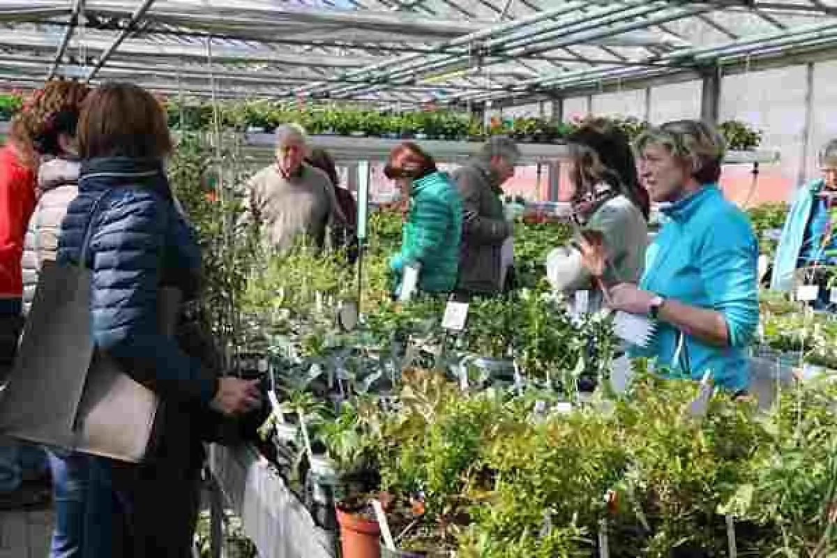 Die Liebenauer Kräutertage machten Lust auf den Frühling.