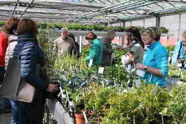 Bild: Kräuterduft und Frühlingslust