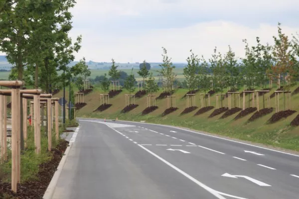 Bild: Natürliches Nährstoffdepot TEGUMIN: Der Spezialist für Baumpflanzungen