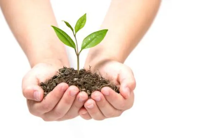 Bild: Flüssiger Kompost - Alles Hokuspokus?