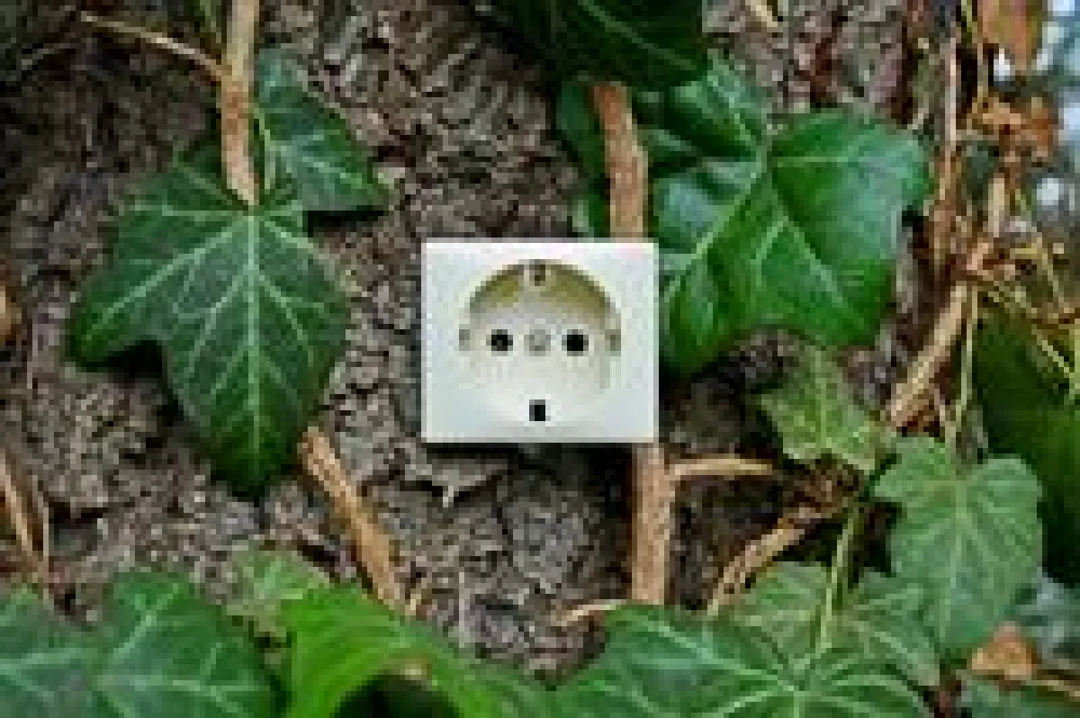 Das Berliner IT Systemhaus DaPhi wechselt zum Ökostromanbieter Naturstrom