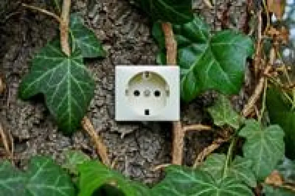 Bild: Bio-Nahrung für die Computer