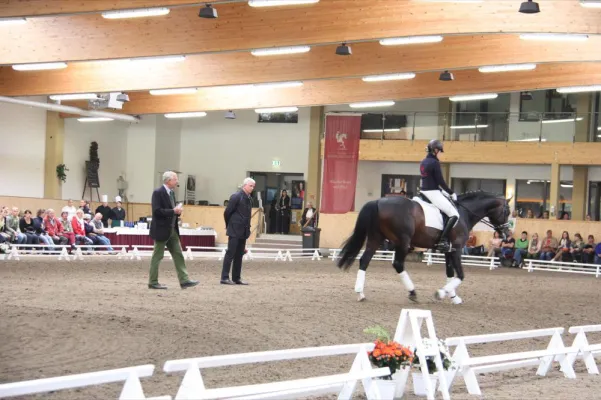 Bild: PM-Regionaltagung im Reitsportzentrum Massener Heide