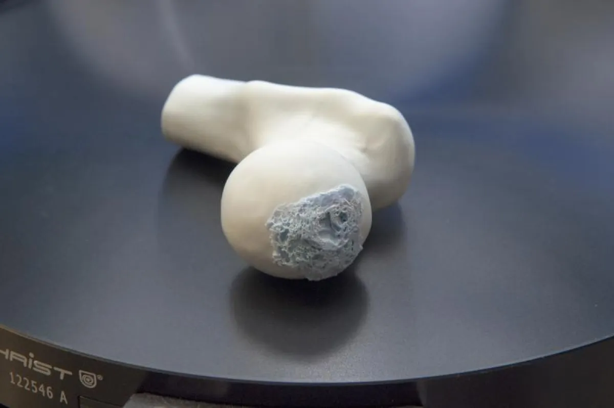 Replica of a ceramic thigh bone. (Fraunhofer IKTS)