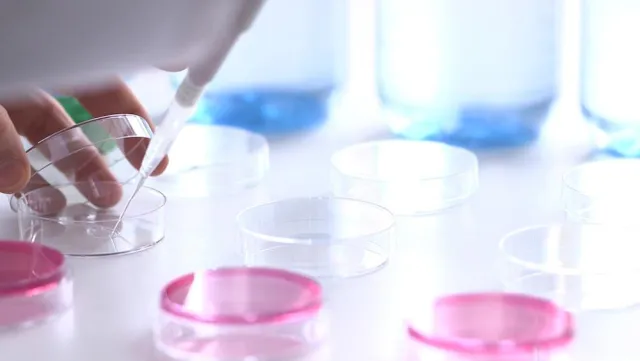 Eine sichere Sache: Mineralwasser wird streng geprüft Bild: Eine sichere Sache: Mineralwasser wird streng geprüft