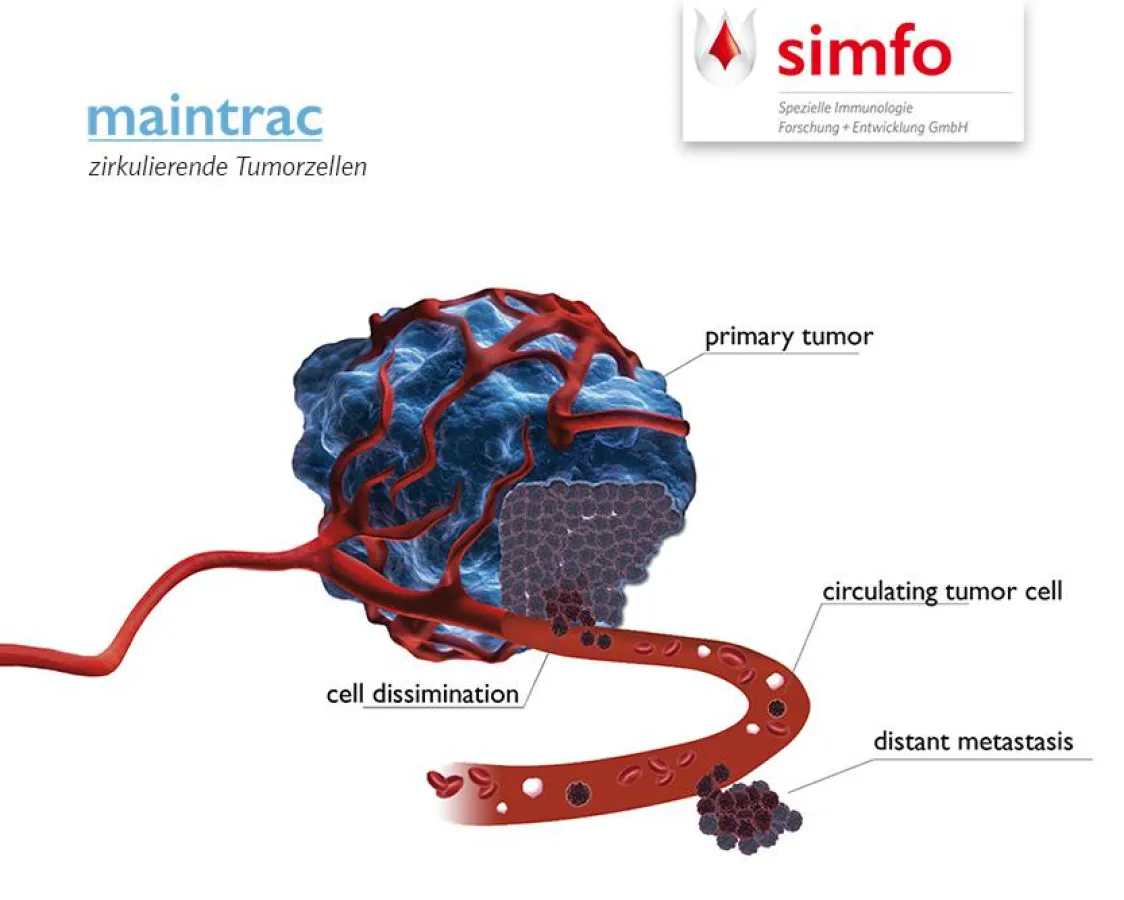 maintrac - zirkulierende Tumorzellen