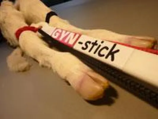 Bild: GYNstick: Neu entwickelter Torsions- und Berichtigungsstab erleichtert die Geburtshilfe bei Rind und Pferd