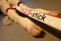 Bild: GYNstick: Neu entwickelter Torsions- und Berichtigungsstab erleichtert die Geburtshilfe bei Rind und Pferd